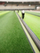 PE αφρό Ράγκμπι γήπεδο γκαζόν σοκ Pads τεχνητό γρασίδι υποστρώμα διπλής όψης Slotted