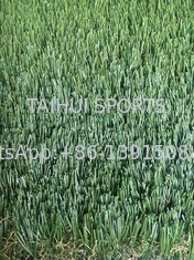 Ανθεκτικό στην υπεριώδη ακτινοβολία 50mm Προσαρμοσμένο μέγεθος Εξωτερικού χώρου Τοπίου Συνθετικό Τεχνητό Χλοοτάπητα για Γήπεδο Ποδοσφαίρου