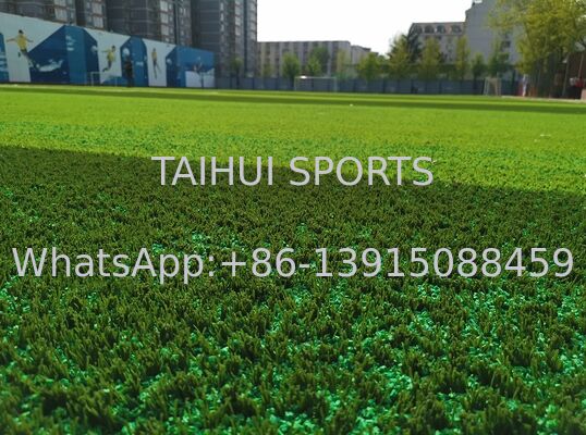 Σκηνοθέτης PE για ποδόσφαιρο/Ράγκμπι/Χόκεϊ/σύστημα FIFA